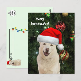 クリスタルメリー・ザ・ハスキー・ドッグからのポストクロッシング ポストカード