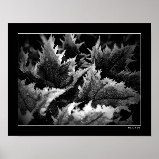 クリスタルモーニング ポスター (正面)