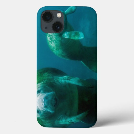 クリスタルリバーにいるマナティーの親子 Case-Mate iPhoneケース (裏面)