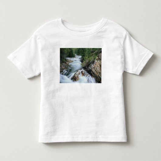 クリスタルリバー、ガニソン国有林、 トドラーTシャツ (正面)