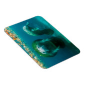 クリスタル・リバーで子牛とマナティー マグネット (右側)