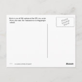 クリスタ・オランウータンでのいじめにはノーと言う ポストカード (裏面)