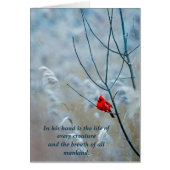 クリスチャンのクリスマスカードすべての生き物 (正面)