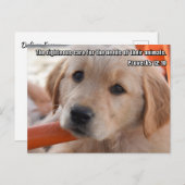 クリスチャンの子犬はがき ポストカード (正面/裏面)