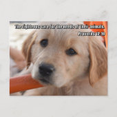 クリスチャンの子犬はがき ポストカード (正面)