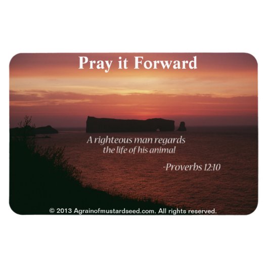 クリスチャン引用文 感動的 マグネット (横)