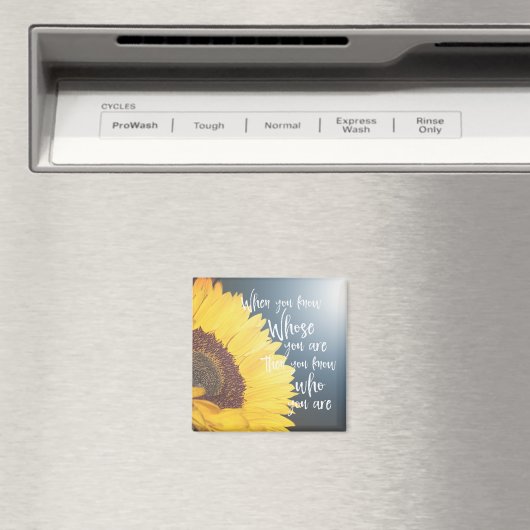 クリスチャン感動的引用文；誰の存在 マグネット (インサイチュ (食洗機))