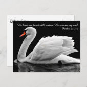 クリスチャン白鳥はがき ポストカード (正面/裏面)