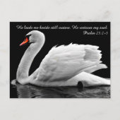 クリスチャン白鳥はがき ポストカード (正面)