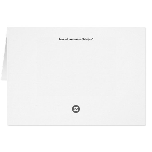 クリスチャン・ソン被収容者グリーティングカード福音メッセージ (裏面横)