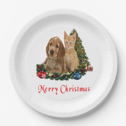 クリスチャン ペーパープレート (正面)