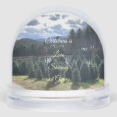 クリスチャン・メッセージ、クリスマス・スノーグローブ (裏面)