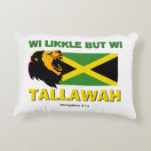 クリスチャンWI LIKKLEがWI TALLAWH アクセントクッション (裏面)