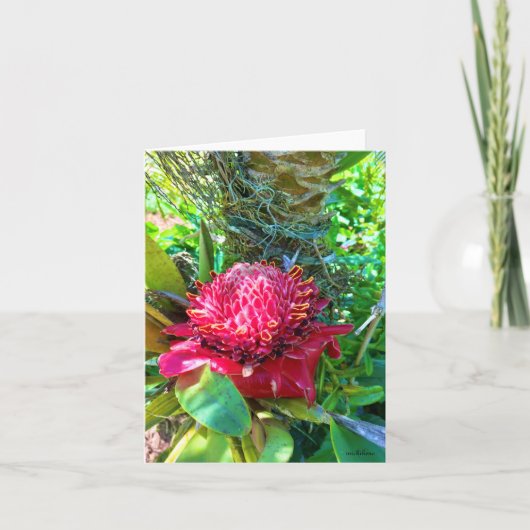 クリスティンのコーヒーの花 サンキューカード (正面)