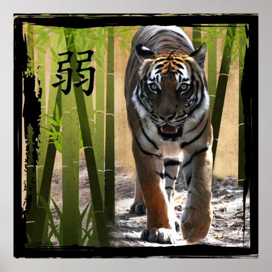 クリスティンの強さ ポスター (正面)