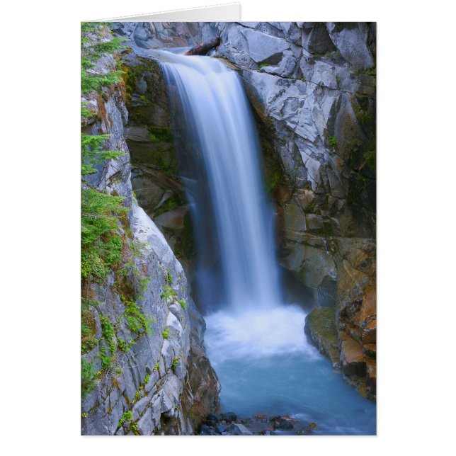 クリスティン滝スニック (正面)