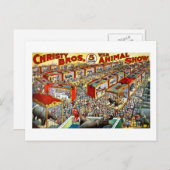 クリスティーの野生動物ショー - ヴィンテージ ポストカード (正面/裏面)