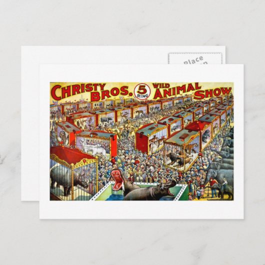 クリスティーの野生動物ショー - ヴィンテージ ポストカード (正面/裏面)