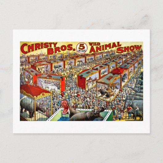 クリスティーの野生動物ショー - ヴィンテージ ポストカード (正面)
