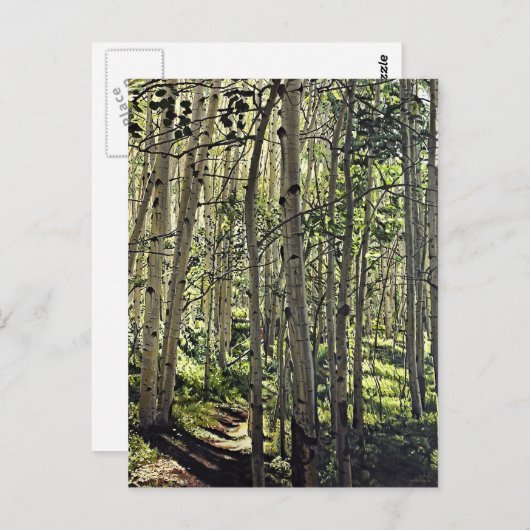 クリステッドビュートの《植物》アスペンの木々の美しい林 ポストカード (正面/裏面)