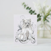 クリステッドブルー 招待状 (スタンド正面)