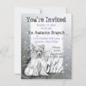 クリステッドブルー 招待状 (裏面)