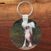 クリステッド中国のキーチェーン キーホルダー (正面)