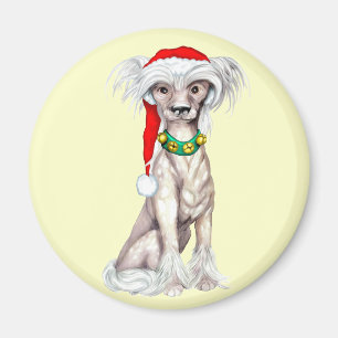 クリステッド中国のサンタ マグネット