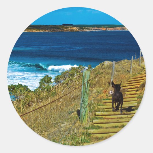 クリステッド中国の子犬、シチュー丸ステッカー ラウンドシール (正面)