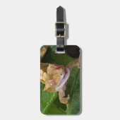 クリステッド・ゲッコ ラゲッジタグ (正面縦)