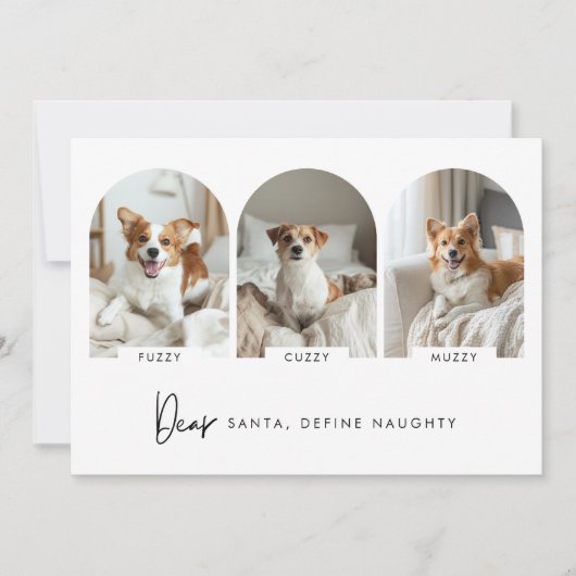 クリスマスいけなのArch Dogの写真を名前で定義 シーズンカード (正面)