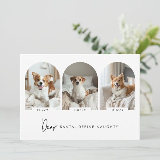 クリスマスいけなのArch Dogの写真を名前で定義 シーズンカード (スタンド正面)