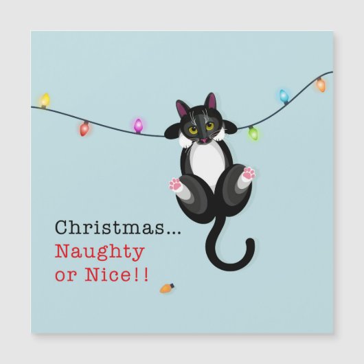 クリスマスいけなまたはニース (正面)