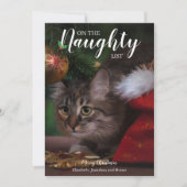 クリスマスいけなペットの写真を一覧表示 シーズンカード (正面)