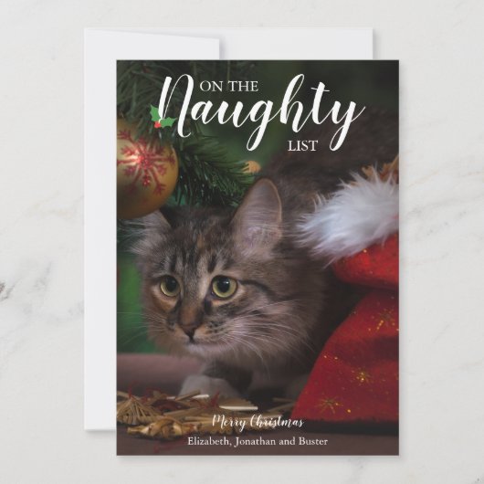 クリスマスいけなペットの写真を一覧表示 シーズンカード (正面)