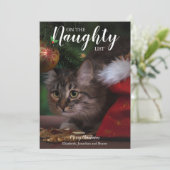 クリスマスいけなペットの写真を一覧表示 シーズンカード (スタンド正面)