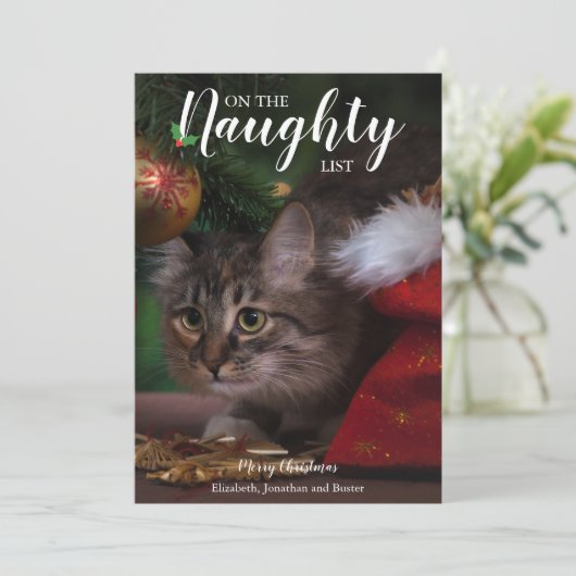 クリスマスいけなペットの写真を一覧表示 シーズンカード (スタンド正面)