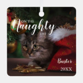 クリスマスいけなペットの写真を一覧表示 メタルオーナメント (正面)