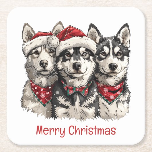 クリスマスおめでとうハスキー犬たち スクエアペーパーコースター (正面)