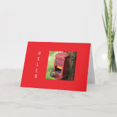 「クリスマスおめでとう」 ハングリー・スクイッレルより シーズンカード (正面)