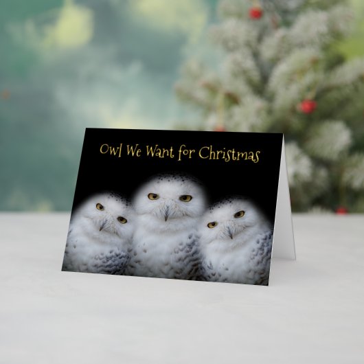 クリスマスおもしろいに雪のフクロウの家族のために欲しいフクロウ 箔シーズンカード (クリスマスインサイチュ)