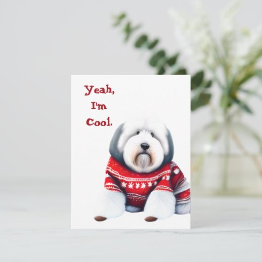 クリスマスおもしろいのセーターを着た古い英語のシェプドッグ シーズンカード (スタンド正面)