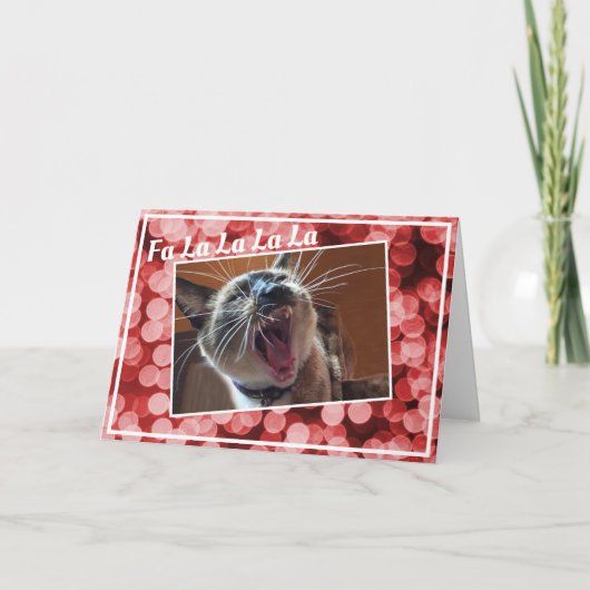 クリスマスおもしろいソング歌Siamese Kitten写真 シーズンカード (正面)