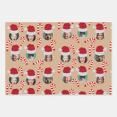 クリスマスおもしろいファミリーフォトサンタハツクラフト ラッピングペーパーシート (正面2)