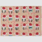 クリスマスおもしろいファミリーフォトサンタハツクラフト 薄葉紙 (正面)