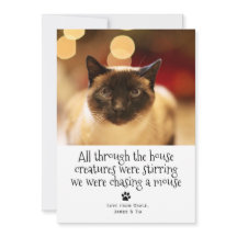 クリスマスおもしろいペット猫