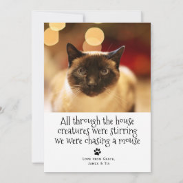 クリスマスおもしろいペット猫 シーズンカード
