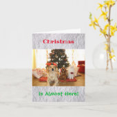 クリスマスおもしろいユーモア犬ねこペット動物の写真 カード (黄色い花)