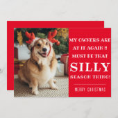 クリスマスおもしろい引用文ペットクリスマスグリーティングフラットカード シーズンカード (正面/裏面)