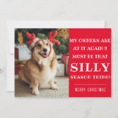 クリスマスおもしろい引用文ペットクリスマスグリーティングフラットカード シーズンカード (正面)